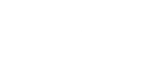Moog Music